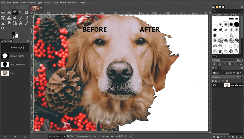 Top 8 Transparent Background Maker Software