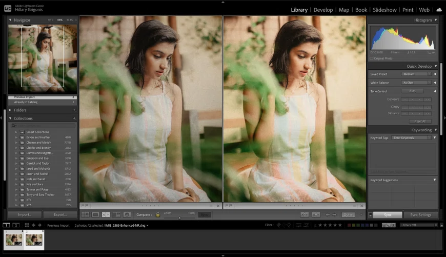 Lightroom – specialized and effective