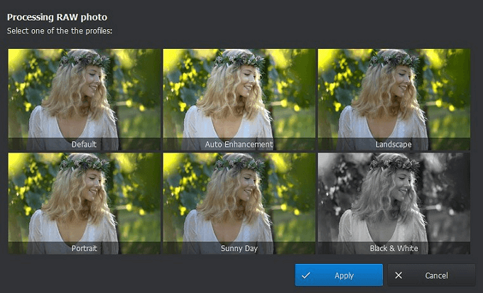 Apply auto editing presets