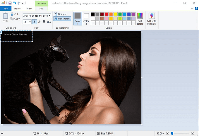 Add a digital photo mat using Photoshop — Nicolesy