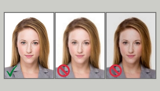 online us visa photo tool