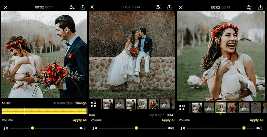 wedding slideshow studio full version free download