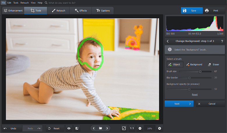 Use the green brush to mark the face